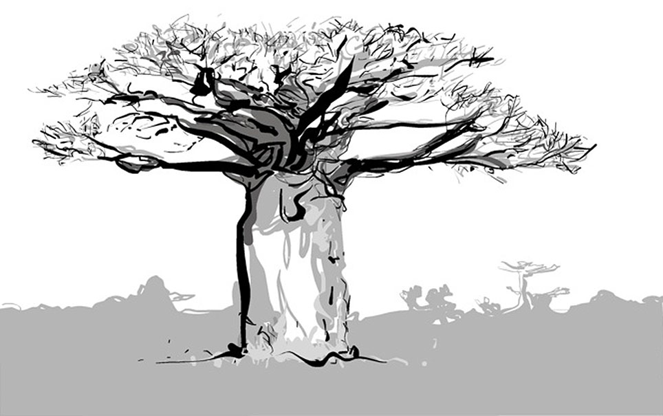 Baobab - Affenbrotbaum Illustration von Ralf Täuber